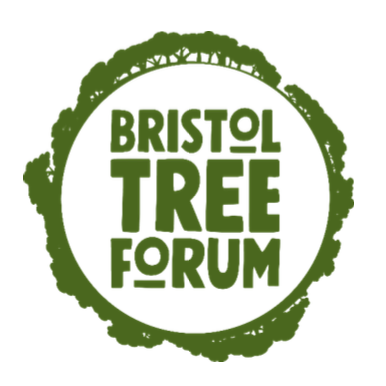 Bristol Tree Forum